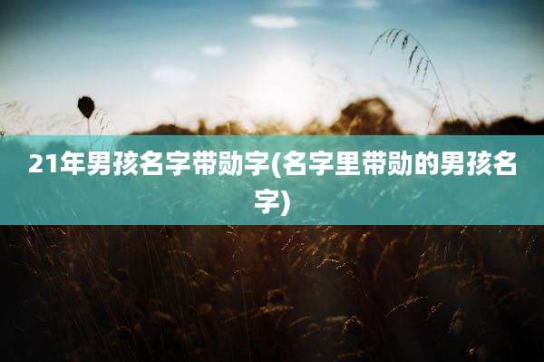 21年男孩名字带勋字(名字里带勋的男孩名字)