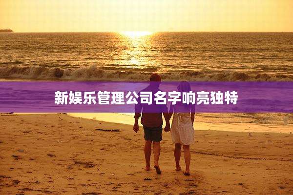 新娱乐管理公司名字响亮独特