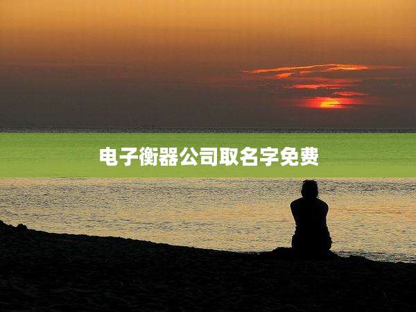 电子衡器公司取名字免费