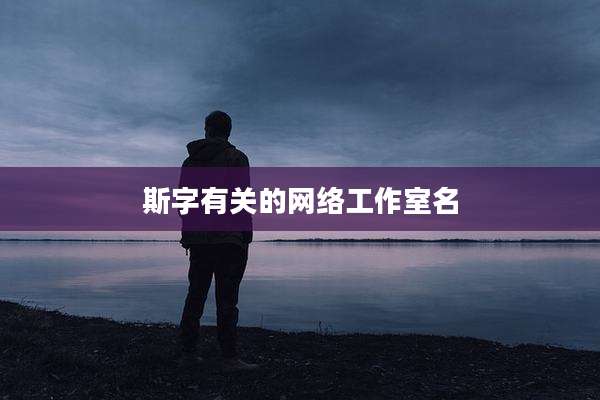 斯字有关的网络工作室名