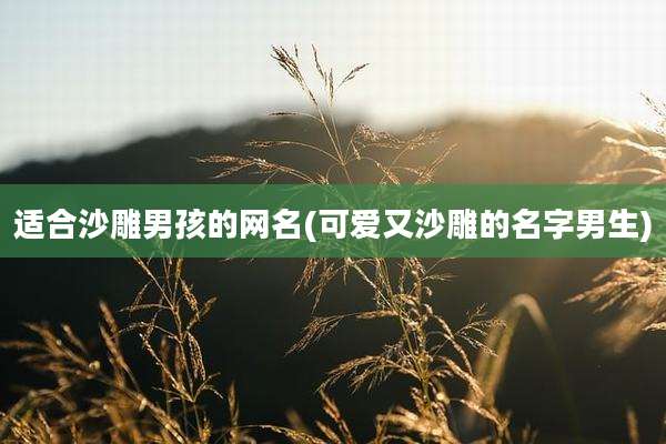 适合沙雕男孩的网名(可爱又沙雕的名字男生)