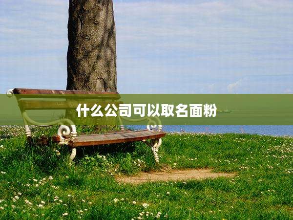 什么公司可以取名面粉