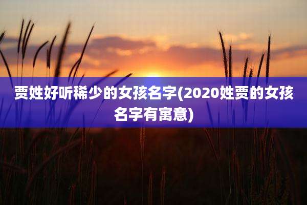 贾姓好听稀少的女孩名字(2020姓贾的女孩名字有寓意)