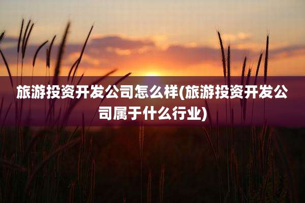 旅游投资开发公司怎么样(旅游投资开发公司属于什么行业)