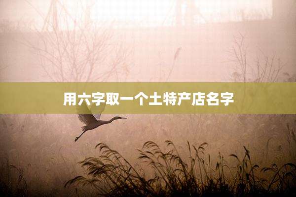 用六字取一个土特产店名字