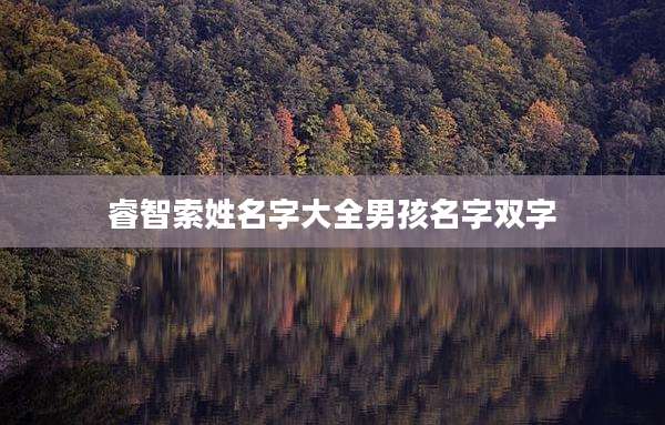 睿智索姓名字大全男孩名字双字