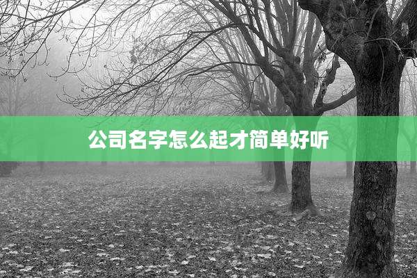 公司名字怎么起才简单好听