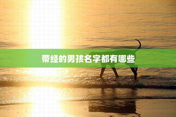 带经的男孩名字都有哪些