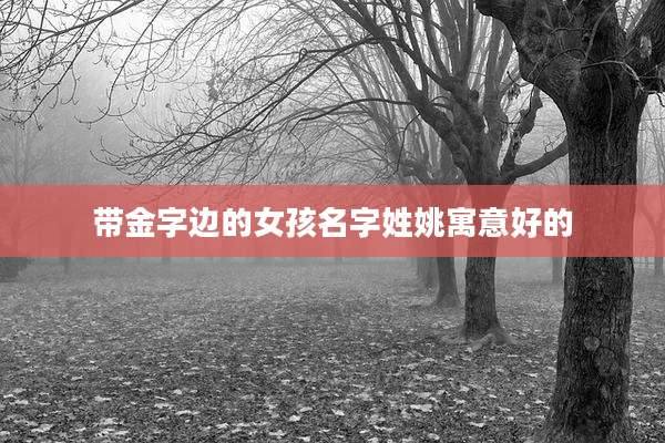 带金字边的女孩名字姓姚寓意好的