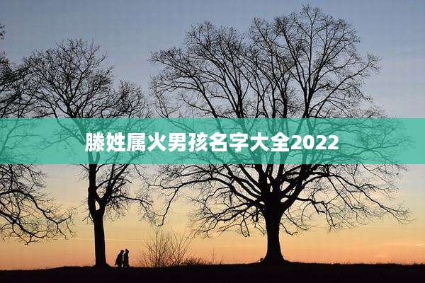 滕姓属火男孩名字大全2022