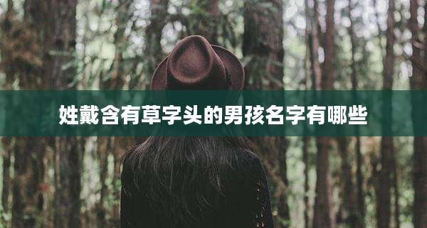 姓戴含有草字头的男孩名字有哪些