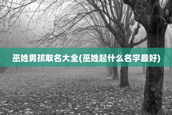 巫姓男孩取名大全(巫姓起什么名字最好)