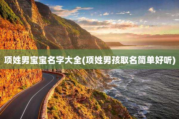 项姓男宝宝名字大全(项姓男孩取名简单好听)