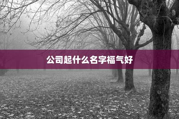 公司起什么名字福气好