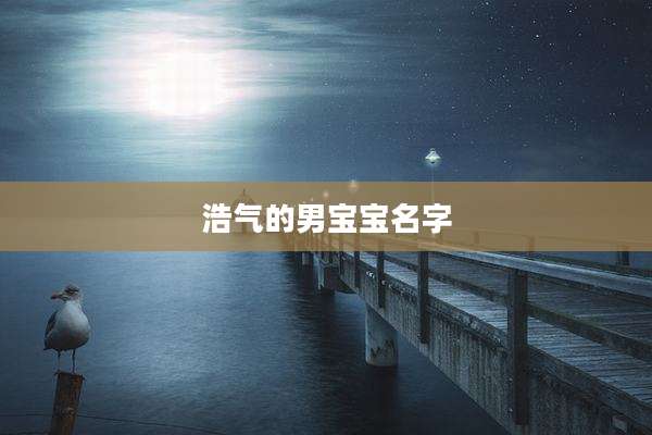 浩气的男宝宝名字