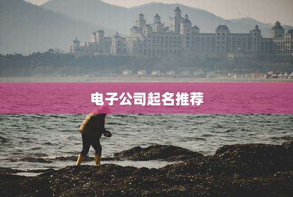 电子公司起名推荐