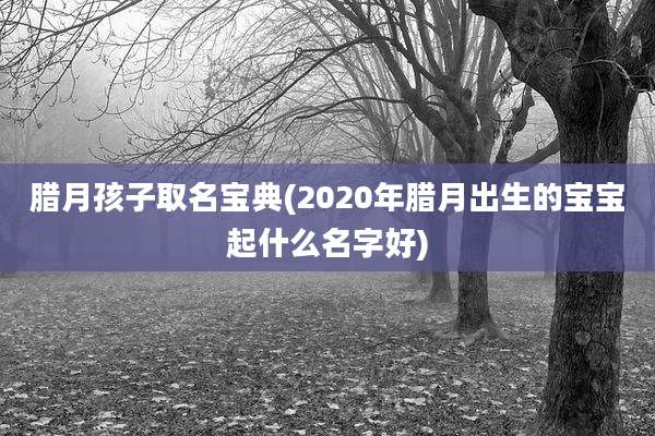 腊月孩子取名宝典(2020年腊月出生的宝宝起什么名字好)