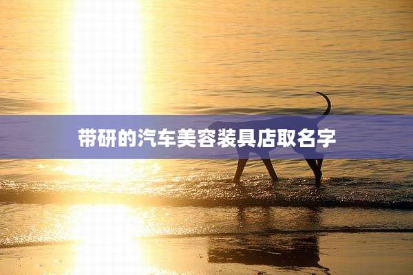 带研的汽车美容装具店取名字