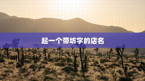 起一个带坊字的店名