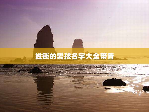姓锁的男孩名字大全带普