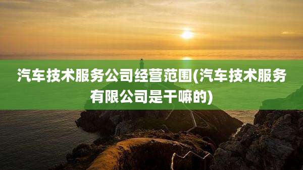汽车技术服务公司经营范围(汽车技术服务有限公司是干嘛的)