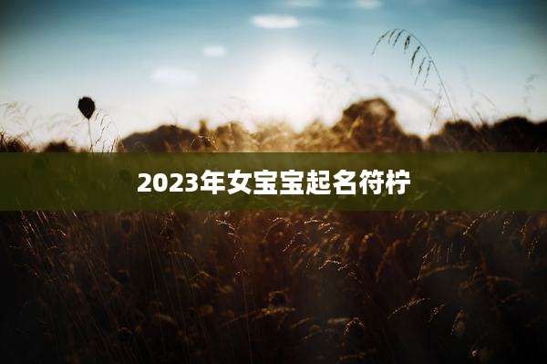 2023年女宝宝起名符柠