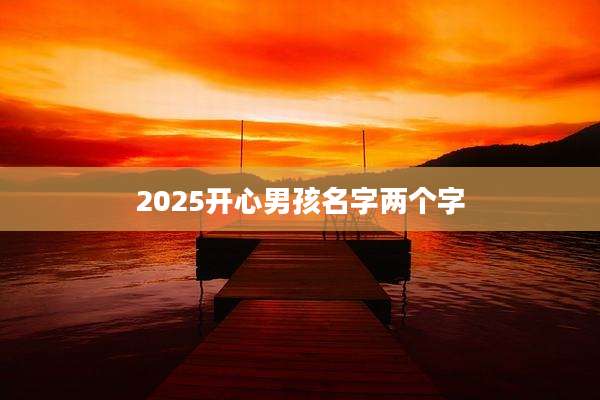 2025开心男孩名字两个字