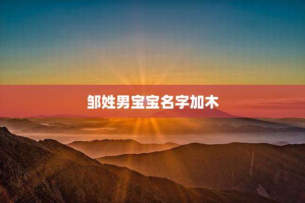 邹姓男宝宝名字加木