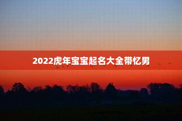 2022虎年宝宝起名大全带忆男