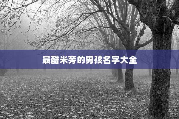 最酷米旁的男孩名字大全