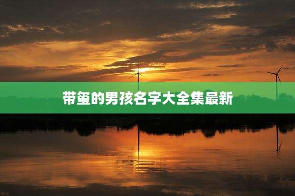 带玺的男孩名字大全集最新