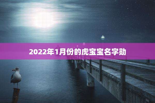 2022年1月份的虎宝宝名字勋