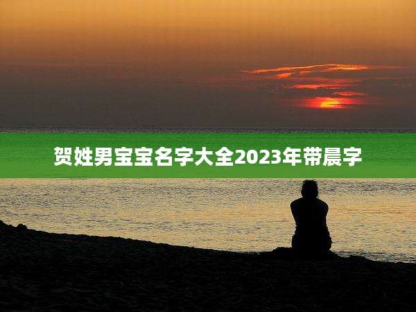 贺姓男宝宝名字大全2023年带晨字
