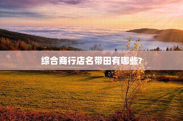 综合商行店名带田有哪些?