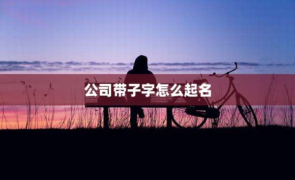 公司带子字怎么起名