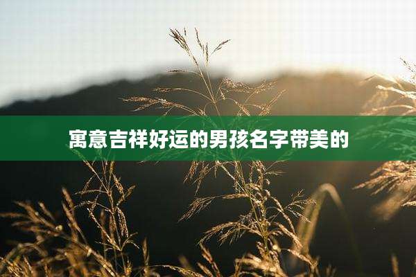 寓意吉祥好运的男孩名字带美的