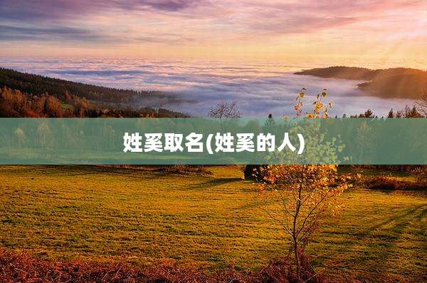 姓奚取名(姓奚的人)