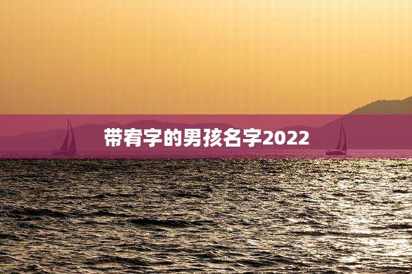 带宥字的男孩名字2022