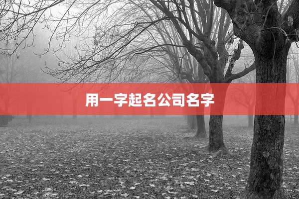 用一字起名公司名字