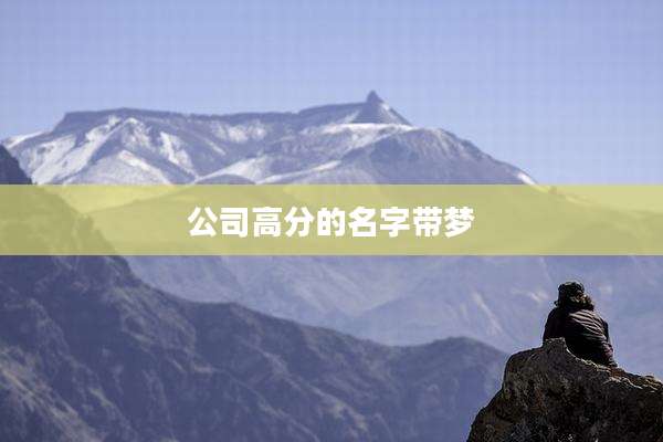 公司高分的名字带梦