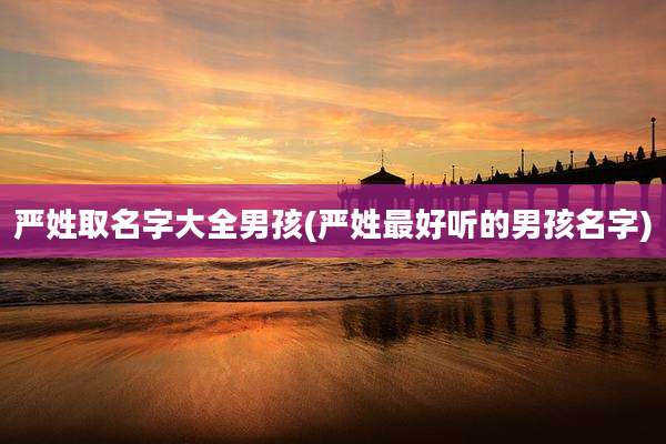 严姓取名字大全男孩(严姓最好听的男孩名字)