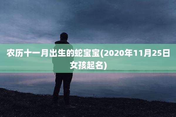 农历十一月出生的蛇宝宝(2020年11月25日女孩起名)