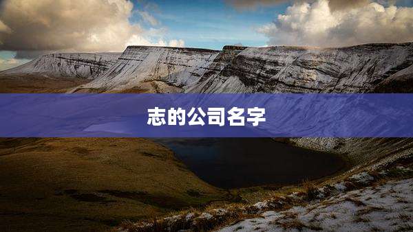 志的公司名字