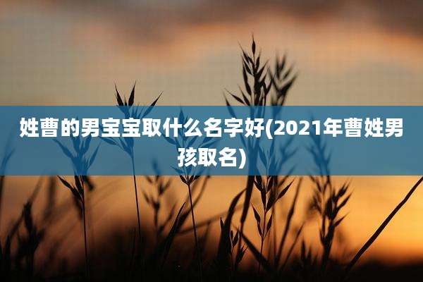 姓曹的男宝宝取什么名字好(2021年曹姓男孩取名)