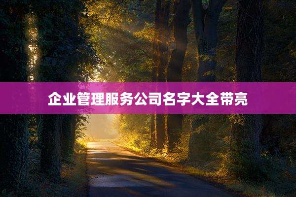 企业管理服务公司名字大全带亮
