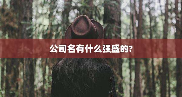 公司名有什么强盛的?
