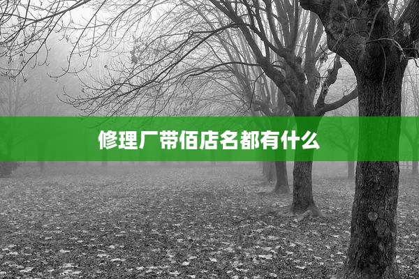 修理厂带佰店名都有什么
