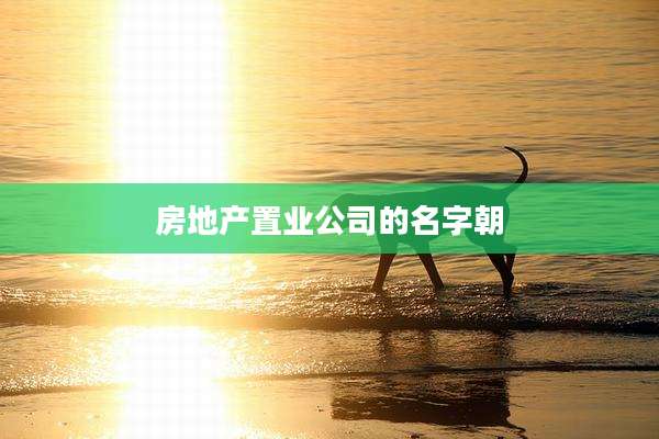 房地产置业公司的名字朝