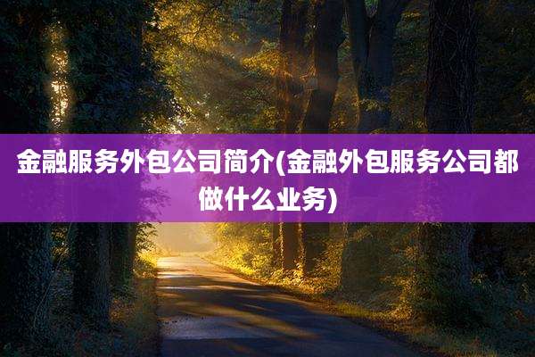 金融服务外包公司简介(金融外包服务公司都做什么业务)