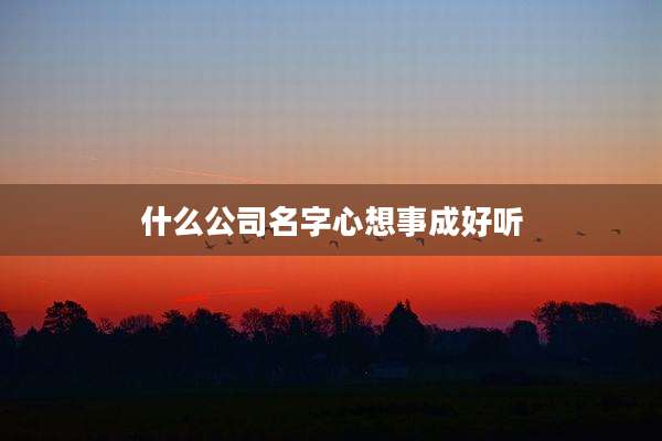 什么公司名字心想事成好听